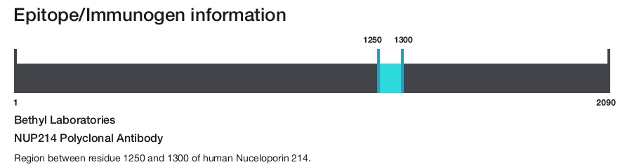 NUP214 Polyclonal Antibody
