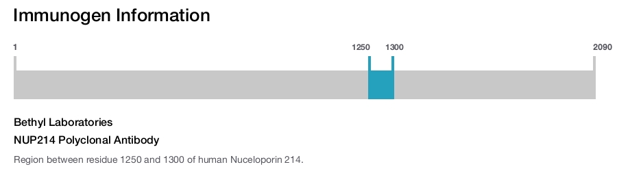 NUP214 Polyclonal Antibody