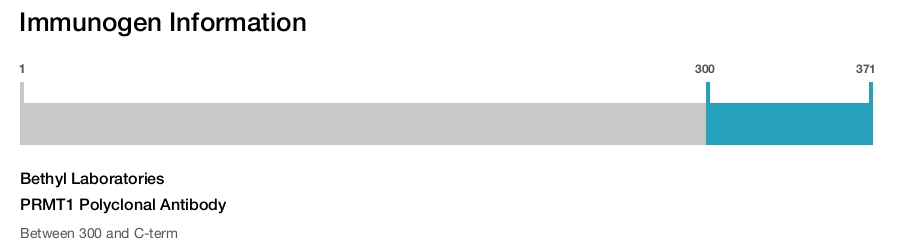 PRMT1 Polyclonal Antibody