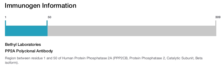 PP2A Polyclonal Antibody