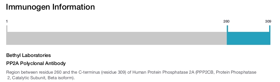 PP2A Polyclonal Antibody