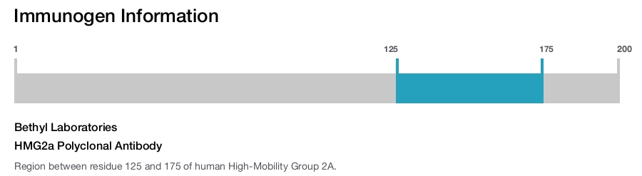 HMG2a Polyclonal Antibody