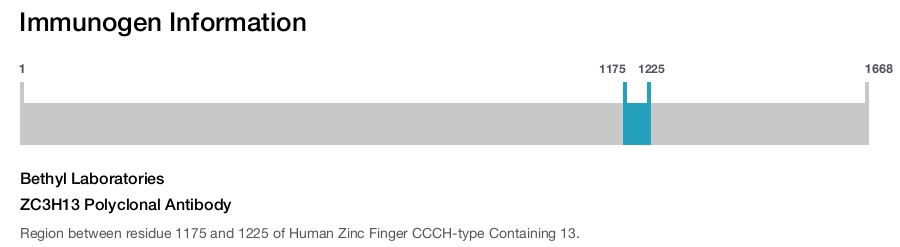 ZC3H13 Polyclonal Antibody
