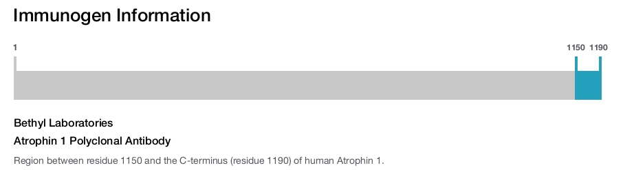 Atrophin 1 Polyclonal Antibody