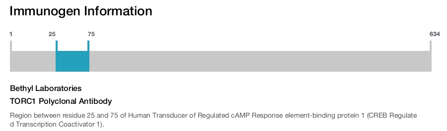 TORC1 Polyclonal Antibody