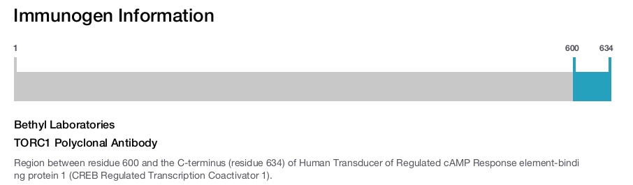 TORC1 Polyclonal Antibody