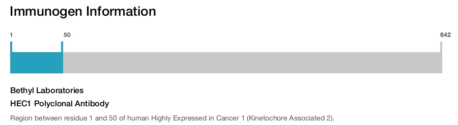 HEC1 Polyclonal Antibody