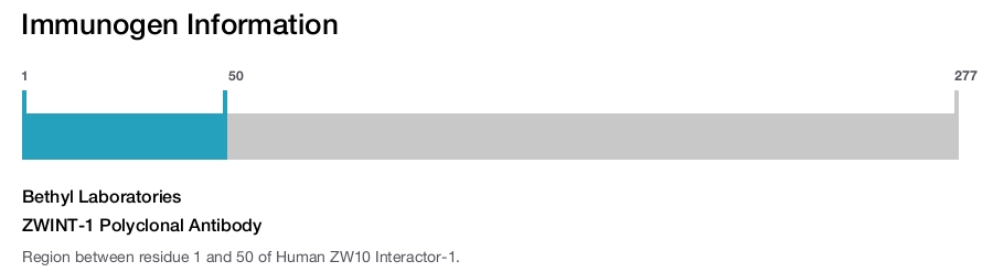 ZWINT-1 Polyclonal Antibody