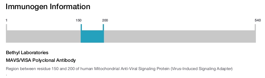 MAVS/VISA Polyclonal Antibody