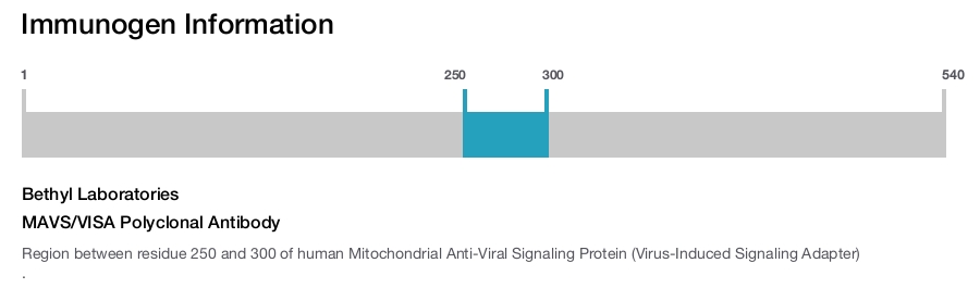 MAVS/VISA Polyclonal Antibody