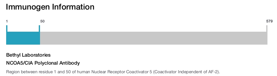 NCOA5/CIA Polyclonal Antibody