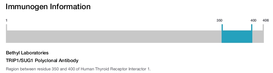 TRIP1/SUG1 Polyclonal Antibody