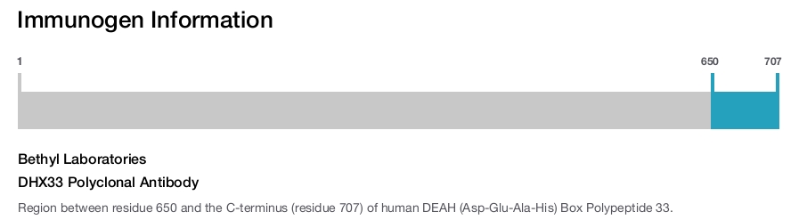 DHX33 Polyclonal Antibody