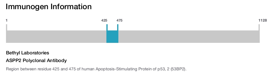 ASPP2 Polyclonal Antibody