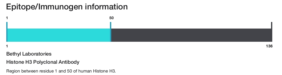 Histone H3 Polyclonal Antibody