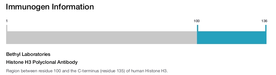 Histone H3 Polyclonal Antibody