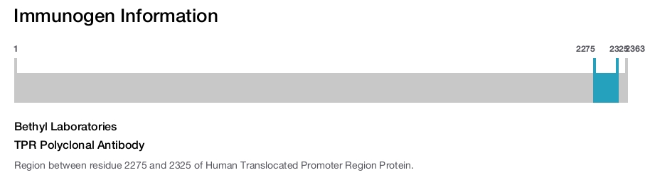 TPR Polyclonal Antibody