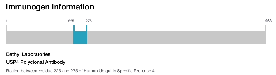 USP4 Polyclonal Antibody
