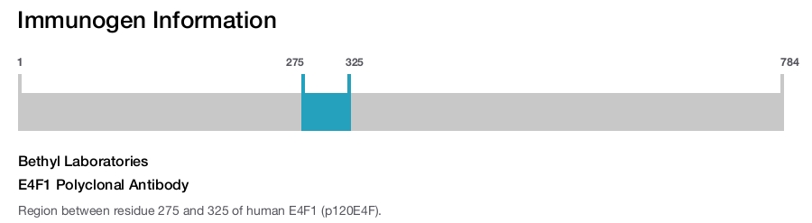 E4F1 Polyclonal Antibody