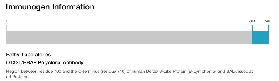 DTX3L/BBAP Polyclonal Antibody