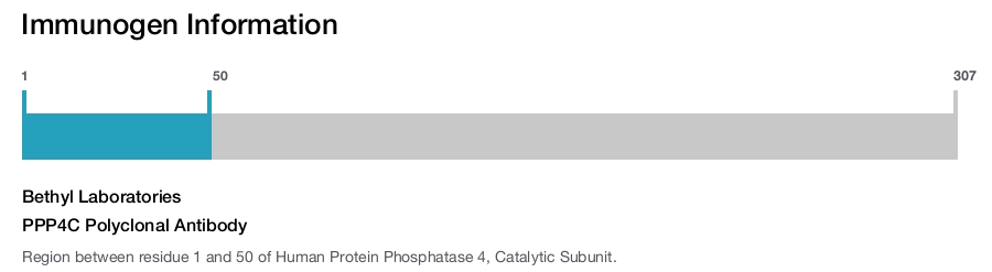 PPP4C Polyclonal Antibody