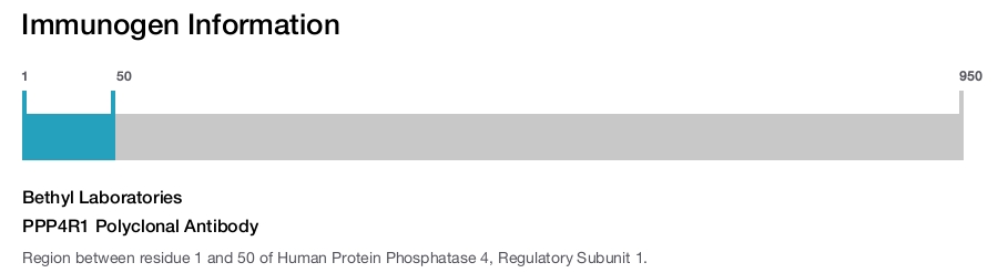 PPP4R1 Polyclonal Antibody