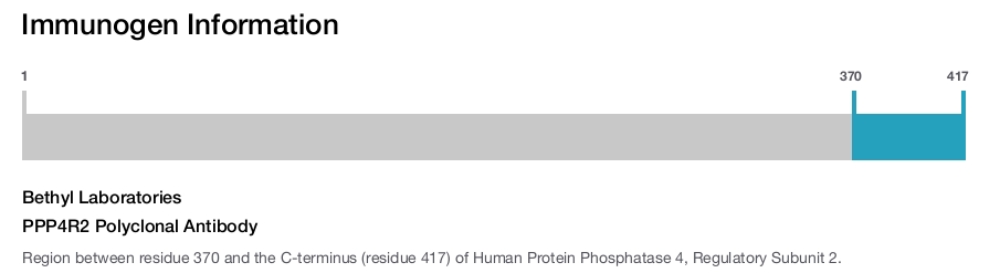 PPP4R2 Polyclonal Antibody