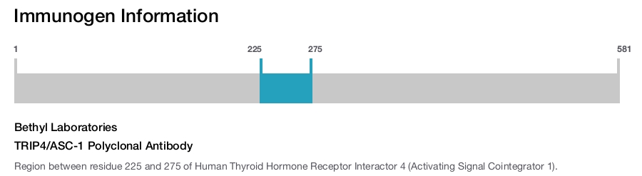 TRIP4/ASC-1 Polyclonal Antibody