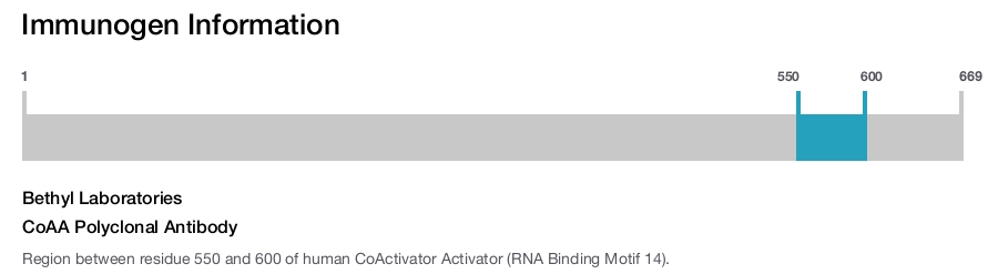 CoAA Polyclonal Antibody