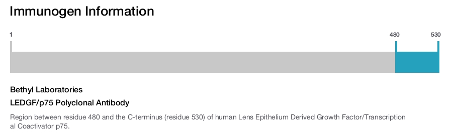 LEDGF/p75 Polyclonal Antibody