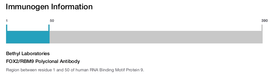 FOX2/RBM9 Polyclonal Antibody