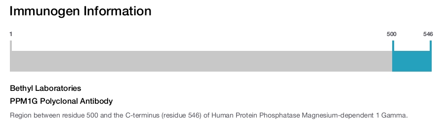 PPM1G Polyclonal Antibody