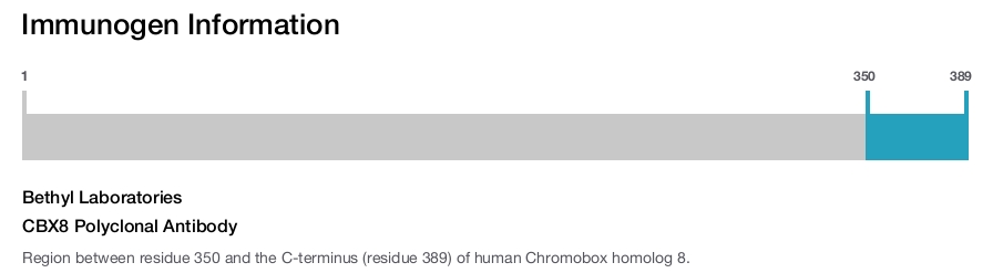 CBX8 Polyclonal Antibody