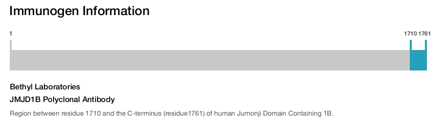 JMJD1B Polyclonal Antibody