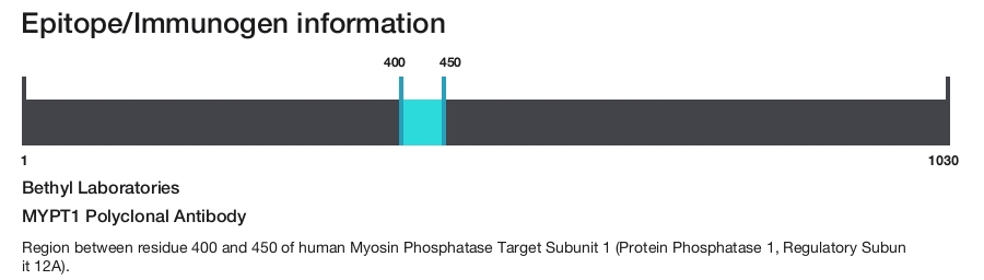 MYPT1 Polyclonal Antibody
