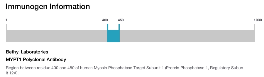 MYPT1 Polyclonal Antibody
