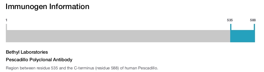 Pescadillo Polyclonal Antibody
