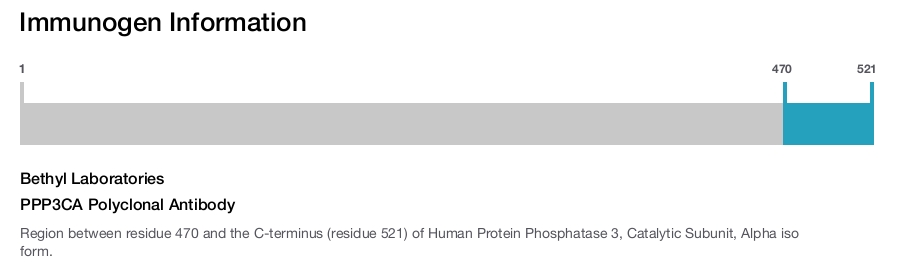 PPP3CA Polyclonal Antibody