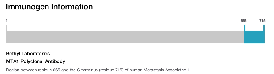 MTA1 Polyclonal Antibody