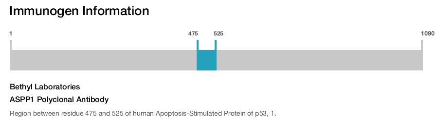 ASPP1 Polyclonal Antibody