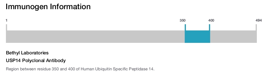 USP14 Polyclonal Antibody