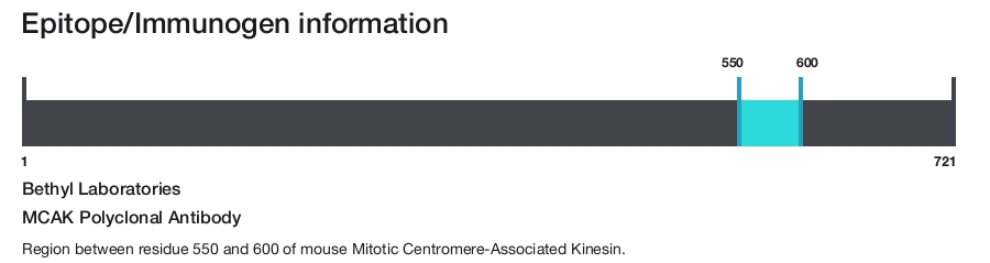 MCAK Polyclonal Antibody