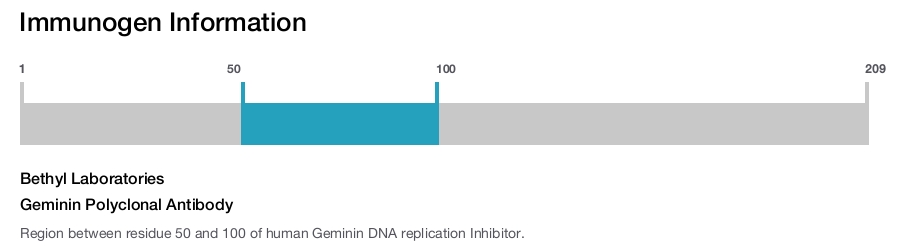 Geminin Polyclonal Antibody