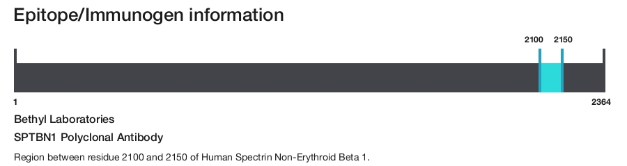 SPTBN1 Polyclonal Antibody