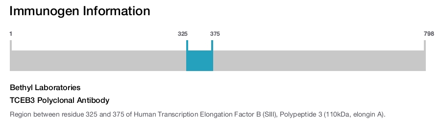 TCEB3 Polyclonal Antibody