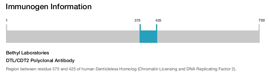DTL/CDT2 Polyclonal Antibody