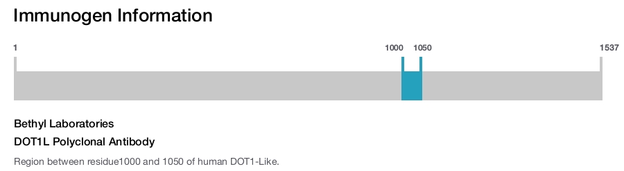 DOT1L Polyclonal Antibody