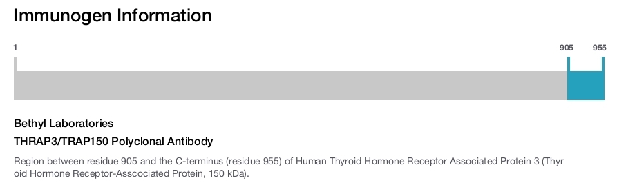 THRAP3/TRAP150 Polyclonal Antibody