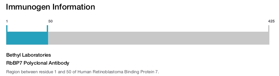 RbBP7 Polyclonal Antibody