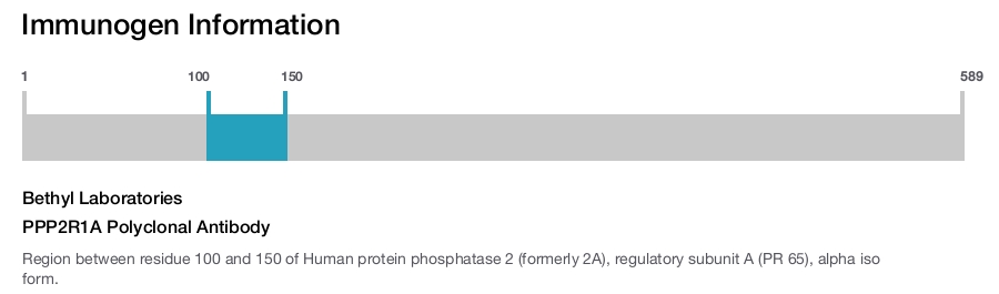 PPP2R1A Polyclonal Antibody